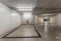 Appartement - TONGEREN-BORGLOON