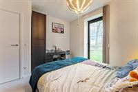 Appartement - TONGEREN-BORGLOON