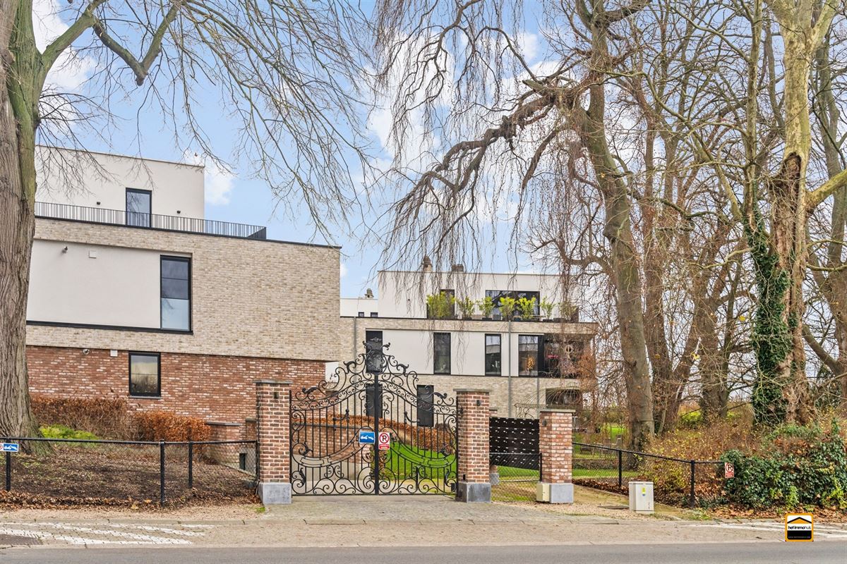 Appartement - TONGEREN-BORGLOON