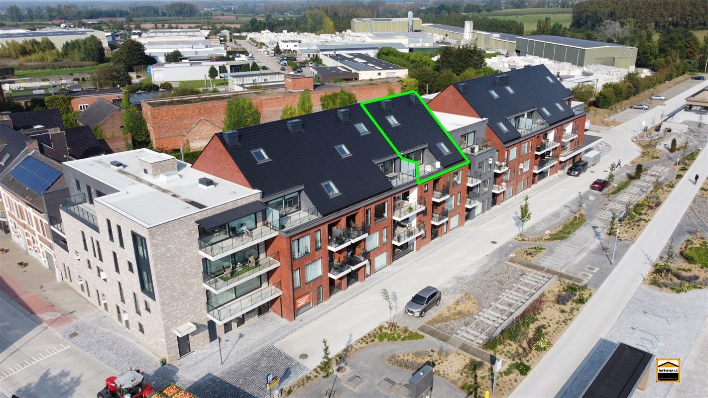 Appartement - TONGEREN-BORGLOON