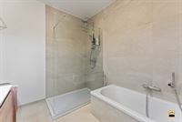 Appartement - TONGEREN-BORGLOON