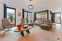 Appartement - TONGEREN-BORGLOON