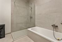 Appartement - TONGEREN-BORGLOON