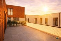 Appartement - BORGLOON