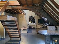 Appartement - TONGEREN-BORGLOON