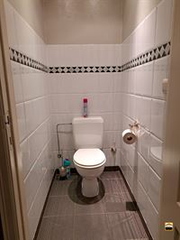 Appartement - TONGEREN-BORGLOON