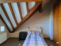 Appartement - TONGEREN-BORGLOON