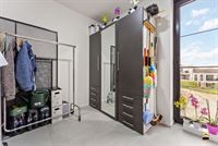 Appartement - TONGEREN-BORGLOON