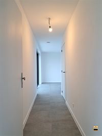 Appartement - WELLEN