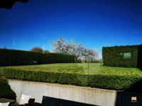 Handelspand met woonst - WELLEN