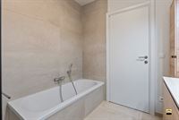 Appartement - TONGEREN-BORGLOON