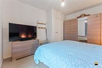 Appartement - TONGEREN-BORGLOON