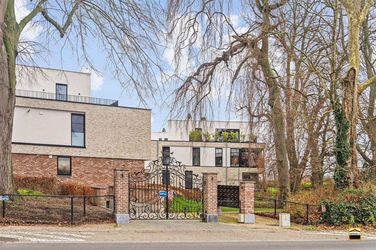 Appartement - TONGEREN-BORGLOON