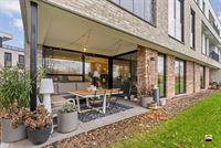 Appartement - TONGEREN-BORGLOON