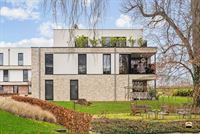 Appartement - TONGEREN-BORGLOON