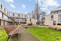 Appartement - TONGEREN-BORGLOON