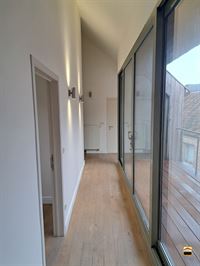 Appartement - TONGEREN-BORGLOON