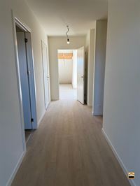 Appartement - TONGEREN-BORGLOON