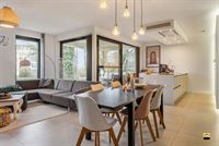 Appartement - TONGEREN-BORGLOON