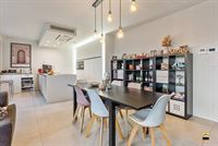 Appartement - TONGEREN-BORGLOON