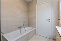 Appartement - TONGEREN-BORGLOON