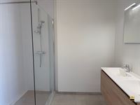 Appartement - TONGEREN-BORGLOON