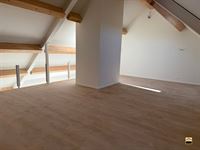 Appartement - TONGEREN-BORGLOON