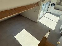 Appartement - TONGEREN-BORGLOON