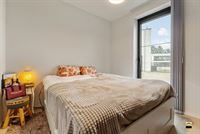 Appartement - TONGEREN-BORGLOON