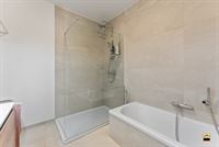 Appartement - TONGEREN-BORGLOON