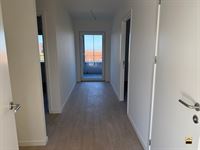 Appartement - TONGEREN-BORGLOON