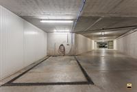 Appartement - TONGEREN-BORGLOON