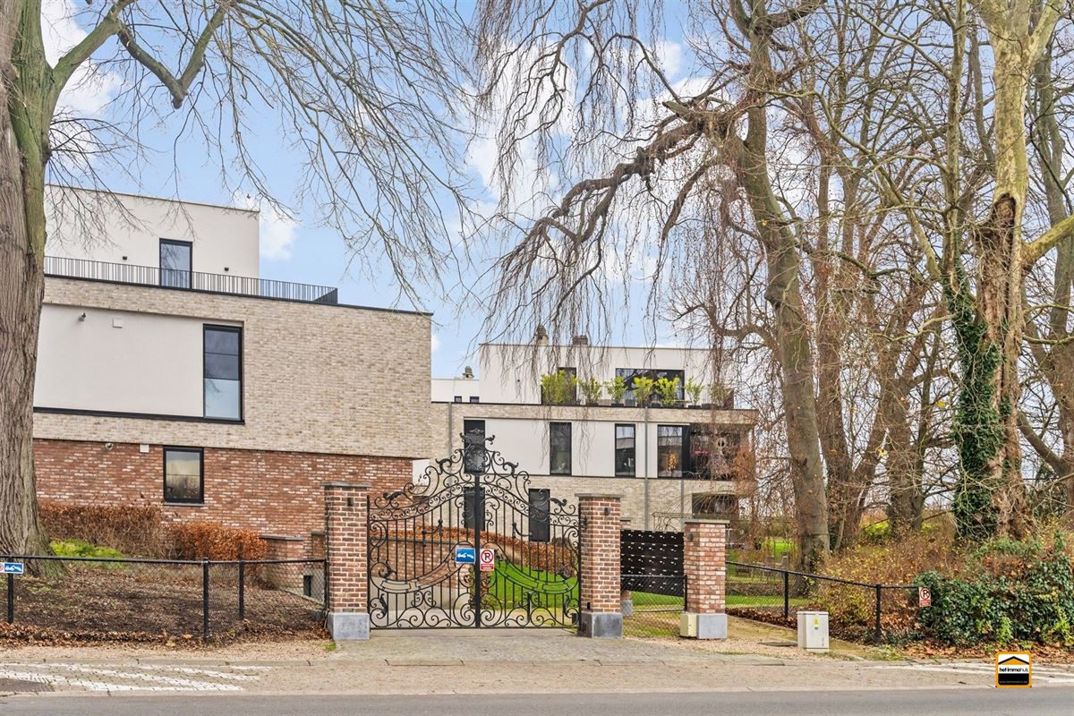 Appartement - TONGEREN-BORGLOON