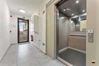 Appartement - TONGEREN-BORGLOON