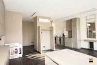 handelspand - TONGEREN-BORGLOON