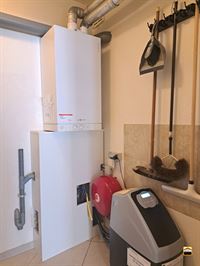 Appartement - BORGLOON