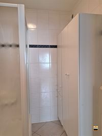 Appartement - BORGLOON