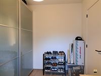 Appartement - TONGEREN-BORGLOON