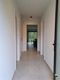 Appartement - TONGEREN-BORGLOON