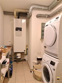 Appartement - TONGEREN-BORGLOON