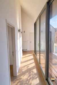 Appartement - BORGLOON