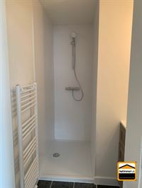 Appartement - TONGEREN-BORGLOON