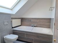 Duplex - TONGEREN-BORGLOON