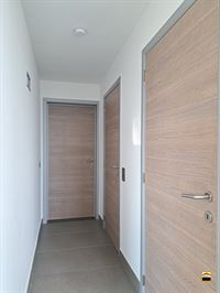 Duplex - TONGEREN-BORGLOON