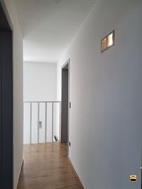 Duplex - TONGEREN-BORGLOON