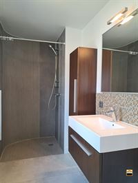 Duplex - TONGEREN-BORGLOON