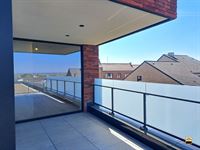 Appartement - TONGEREN-BORGLOON