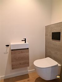 Appartement - TONGEREN-BORGLOON