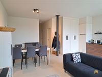 Appartement - TONGEREN-BORGLOON