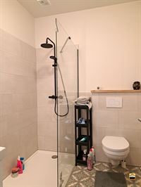 Appartement - TONGEREN-BORGLOON